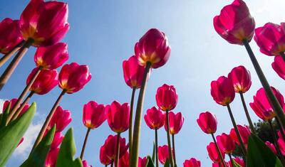 Bu gün üçün gözlənilən hava şəraiti açıqlandı - PROQNOZ