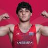 Bizdən iki nəfər fəxri kürsüyə qalxdı, Elvin qızıl medal qazandı