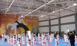 https://www.sportinfo.az/idman_xeberleri/taekvondo/252133.html