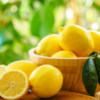 Limonu necə yesək, arıqlayarıq?