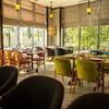 Azərbaycan millisinin baş məşqçisi şərikli restoran açdı