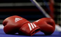 https://www.sportinfo.az/idman_xeberleri/boks/256531.html