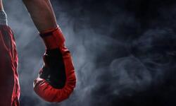 https://www.sportinfo.az/idman_xeberleri/boks/261160.html