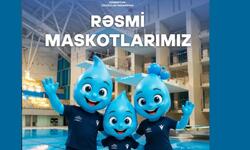 https://www.sportinfo.az/idman_xeberleri/diger_novler/261102.html